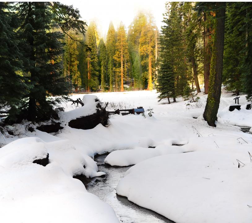 Sequoia National Park December | Shutterbug
